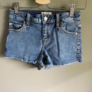Aritzia Sunday Best Denim Shorts
